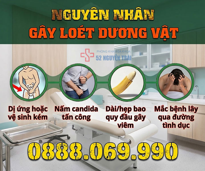 nguyên nhân gây loét dương vật