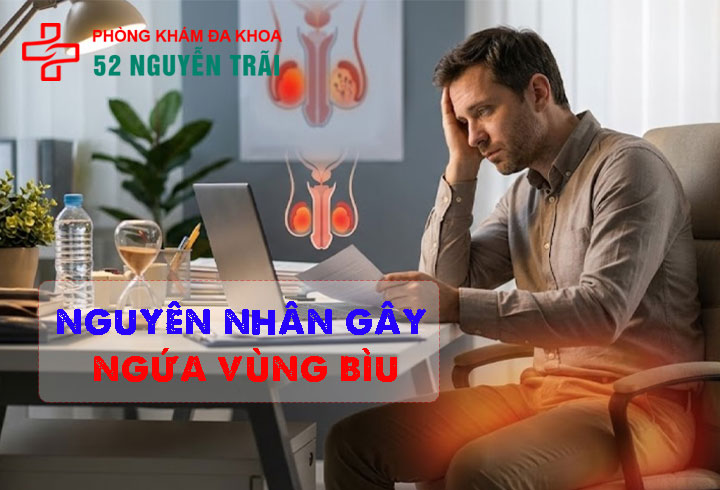 Nguyên nhân gây ngứa vùng bìu