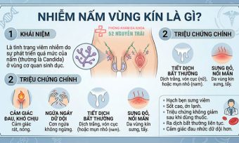 Nấm vùng kín: Triệu chứng, nguyên nhân và cách xử lý