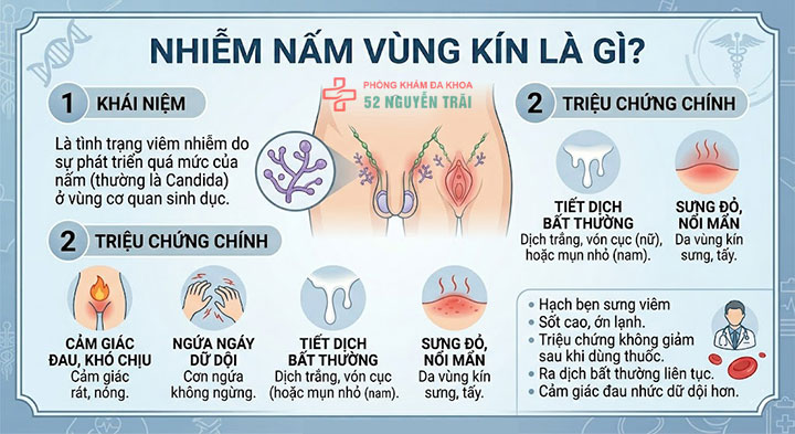 Nấm vùng kín: Triệu chứng, nguyên nhân và cách xử lý 1 Nhiễm nấm vùng kín là gì
