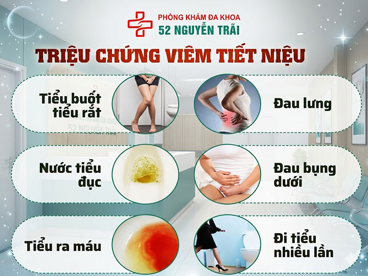 triệu chứng viêm đường tiết niệu
