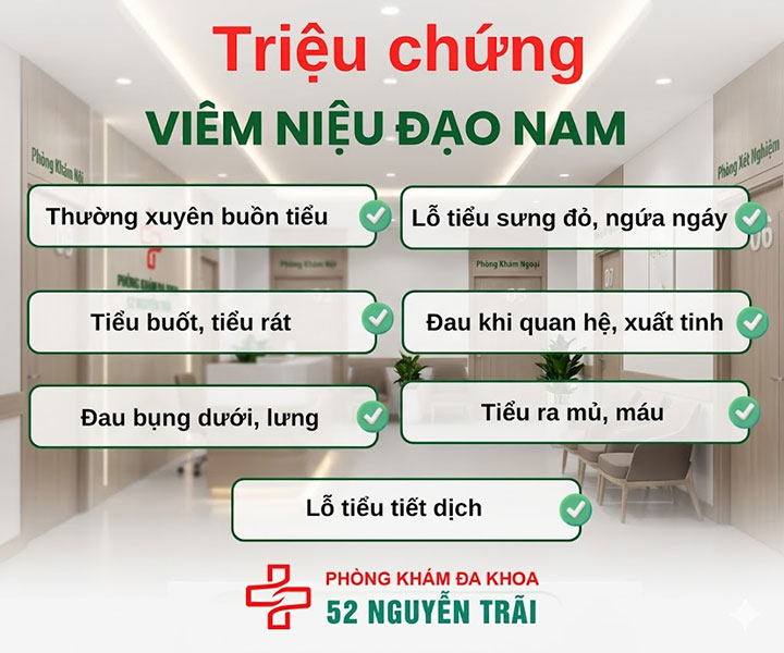 triệu chứng viêm niệu đạo nam