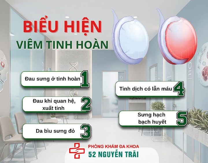 biểu hiện viêm tinh hoàn nam