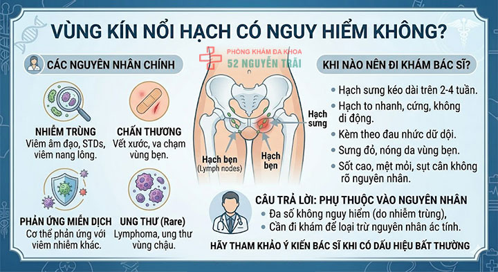 Vùng kín nổi hạch do đâu? Cách điều trị an toàn, hiệu quả 9 Vùng kín nổi hạch có nguy hiểm không
