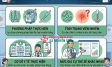 Cắt bao quy đầu dài: Chi phí và lợi ích y khoa cần biết