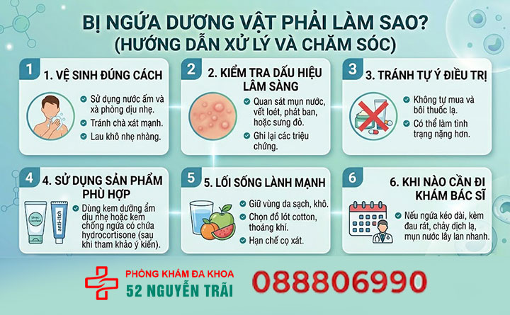 Nguyên Nhân Ngứa Dương Vật, Tư Vấn Cách Khắc Phục 8 Bị ngứa dương vật phải làm sao