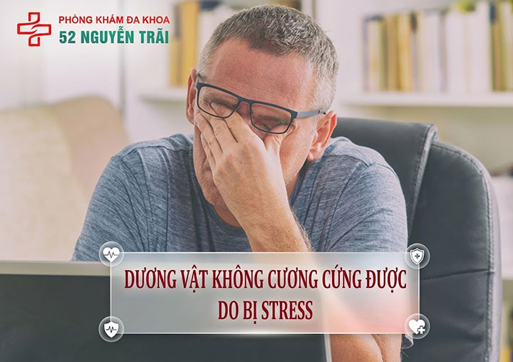 dương vật không cương cứng được Do bị stress