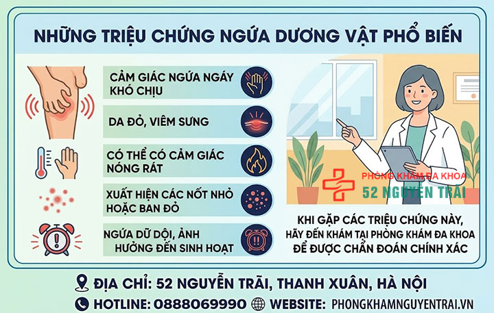 Nguyên Nhân Ngứa Dương Vật, Tư Vấn Cách Khắc Phục 1 triệu chứng ngứa dương vật