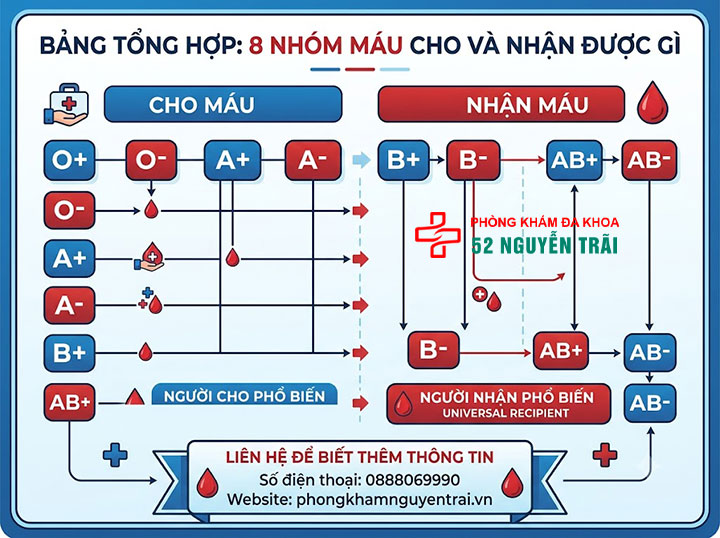 Sơ đồ cho nhận nhóm máu: Nhóm nào truyền được cho nhóm nào? 2 8 nhóm máu cho và nhận được gì?