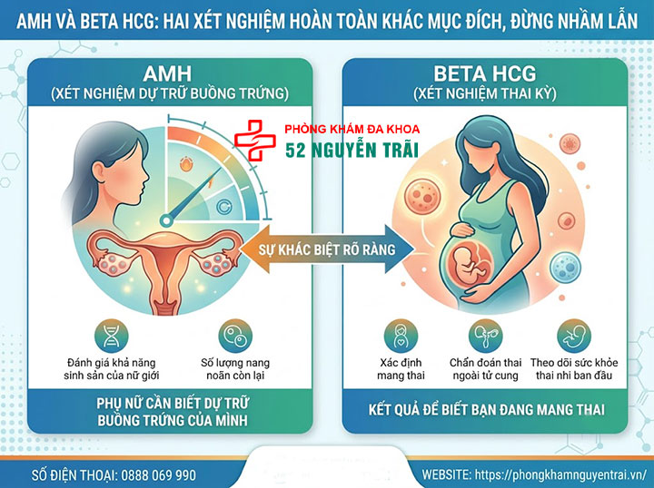 Xét nghiệm Beta HCG trong IVF, IUI: Bác sĩ giải thích 6 AMH và Beta HCG: hai xét nghiệm hoàn toàn khác mục đích, đừng nhầm lẫn