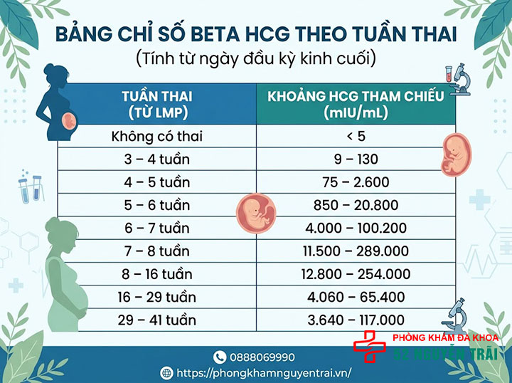 Cách đọc kết quả xét nghiệm Beta Hcg: Bao nhiêu là có thai? 3 Bảng chỉ số Beta HCG theo tuần thai