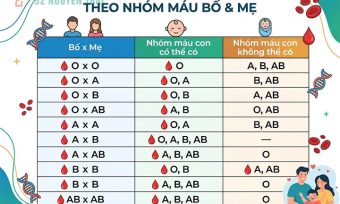 Bảng di truyền nhóm máu theo nhóm máu bố & mẹ
