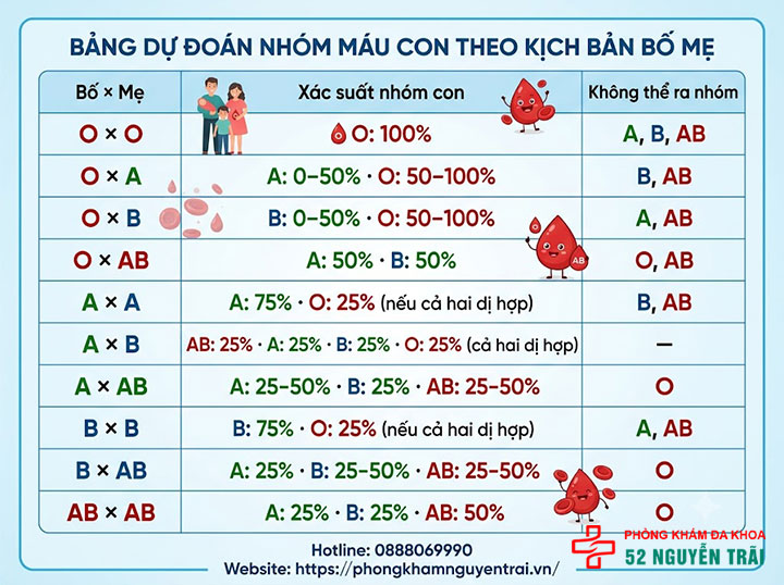 Di truyền nhóm máu: Con giống bố hay mẹ? Bảng tính 9 Bảng dự đoán nhóm máu con theo từng kịch bản bố mẹ