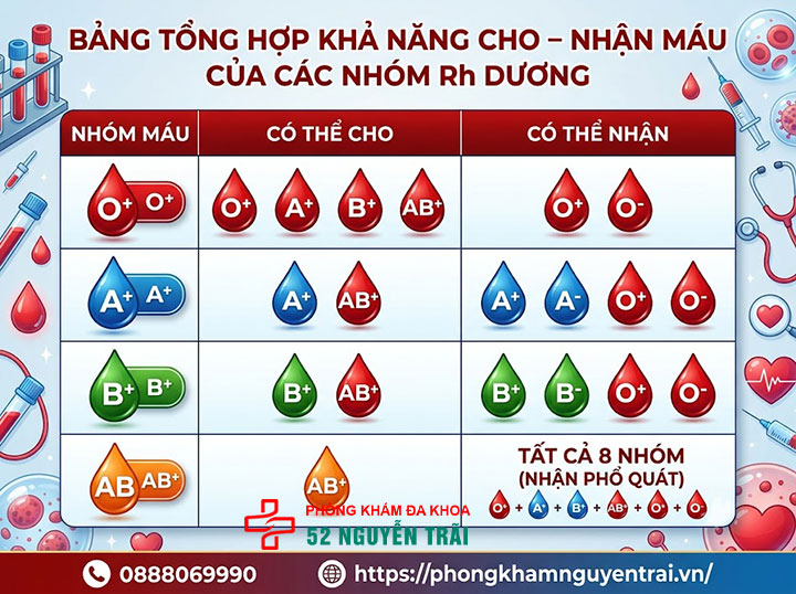 Hệ nhóm máu Rh là gì? Rh+ và Rh- khác nhau ra sao? 8 Bảng tổng hợp khả năng cho nhận máu của các nhóm Rh dương