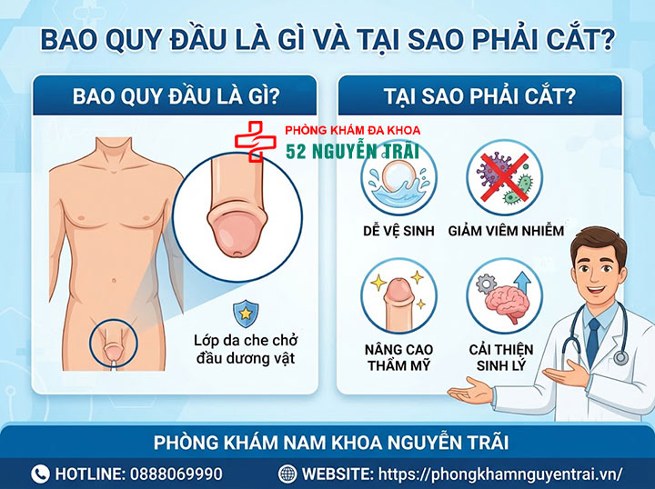 Khám Phá Lợi Ích: Cắt Bao Quy Đầu Để Làm Gì Và Có Tốt Không? 1 Bao Quy Đầu Là Gì Và Tại Sao Phải Cắt