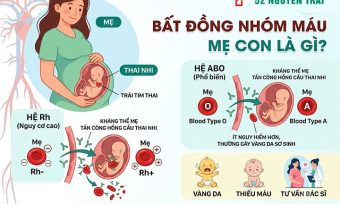 Bất đồng nhóm máu mẹ con: Nguy cơ & cách xử lý