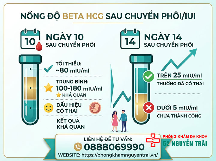 Xét nghiệm Beta HCG trong IVF, IUI: Bác sĩ giải thích 2 Beta HCG sau chuyển phôi/IUI bao nhiêu là bình thường?