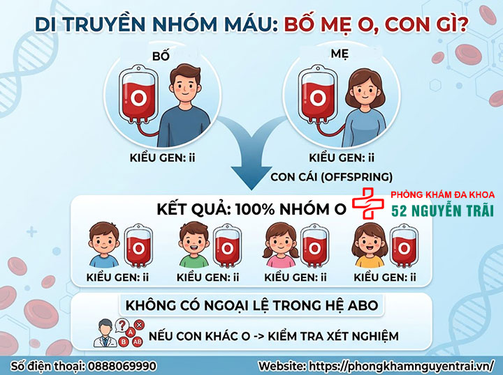 Di truyền nhóm máu: Con giống bố hay mẹ? Bảng tính 4 Bố mẹ nhóm máu O, con nhóm máu gì?