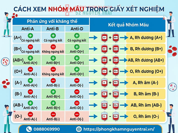 Xét nghiệm nhóm máu: Quy trình và cách đọc kết quả 5 Cách xem nhóm máu trong giấy xét nghiệm