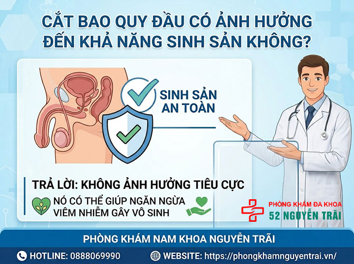 Khám Phá Lợi Ích: Cắt Bao Quy Đầu Để Làm Gì Và Có Tốt Không? 5 Cắt bao quy đầu có ảnh hưởng đến khả năng sinh sản không?