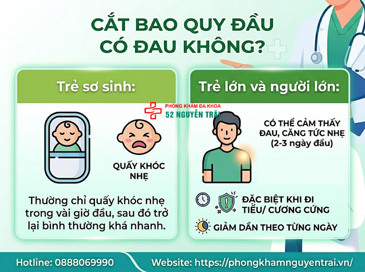 Cắt bao quy đầu có đau không, biến chứng thường gặp 1 Cắt bao quy đầu có đau không