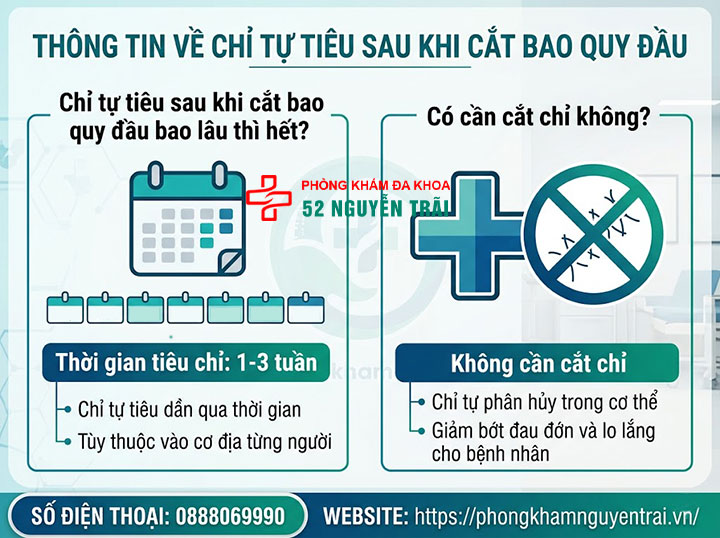 Cắt Bao Quy Đầu Bao Lâu Thì Lành? Giải Đáp Chi Tiết 3 Chỉ tự tiêu sau khi cắt bao quy đầu bao lâu thì hết, có cần cắt chỉ không?
