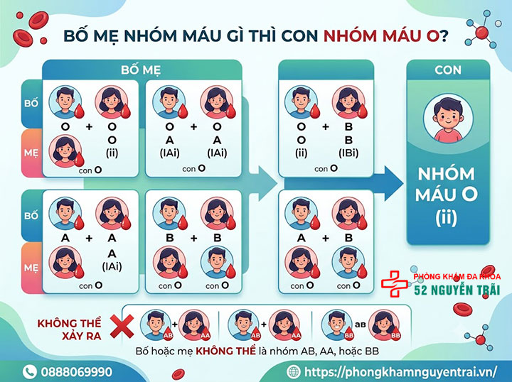 Di truyền nhóm máu: Con giống bố hay mẹ? Bảng tính 5 Con nhóm máu O thì bố mẹ nhóm máu gì?