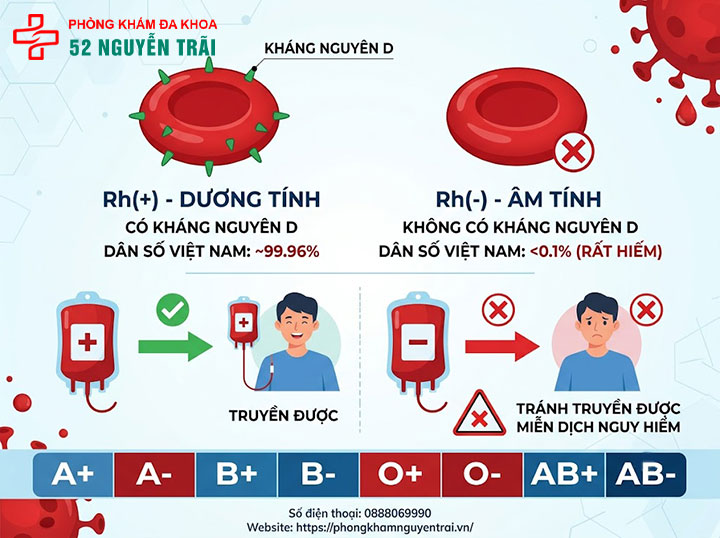 Các nhóm máu: Hệ A,B,O,AB phân loại và ý nghĩa 7 Hệ Rh: Dương tính và âm tính
