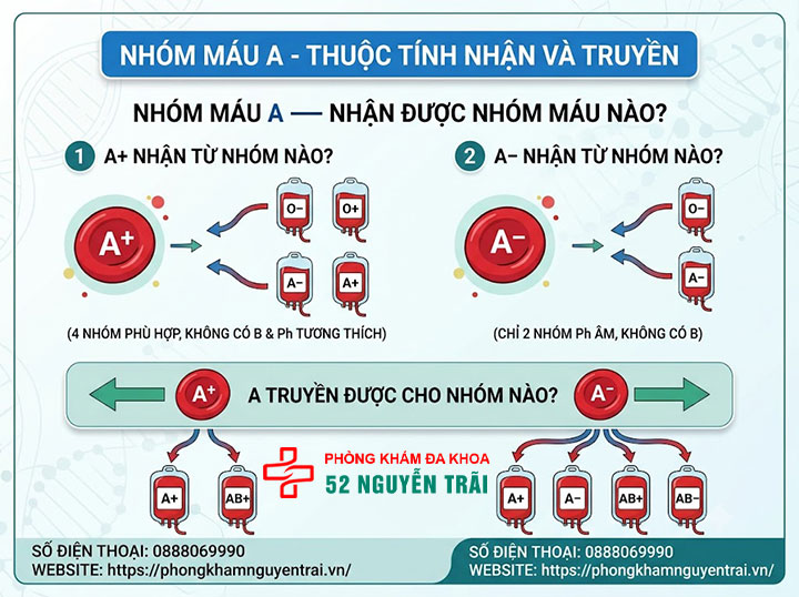 Sơ đồ cho nhận nhóm máu: Nhóm nào truyền được cho nhóm nào? 5 Nhóm máu A — Nhận được nhóm máu nào?