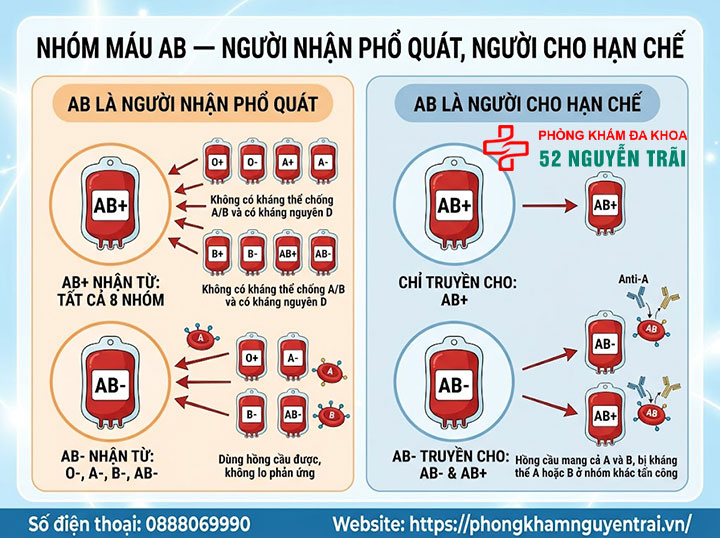 Sơ đồ cho nhận nhóm máu: Nhóm nào truyền được cho nhóm nào? 4 Nhóm máu AB — Người nhận phổ quát, người cho hạn chế