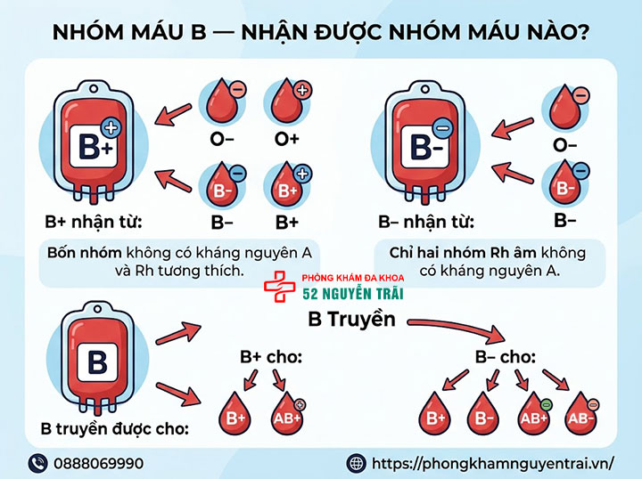 Sơ đồ cho nhận nhóm máu: Nhóm nào truyền được cho nhóm nào? 6 Nhóm máu B Nhận được nhóm máu nào?