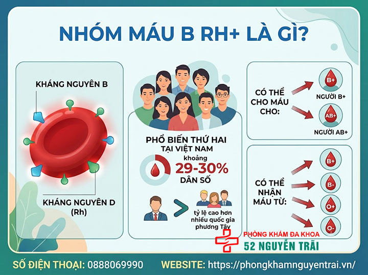 Hệ nhóm máu Rh là gì? Rh+ và Rh- khác nhau ra sao? 6 Nhóm máu B Rh+ là gì?