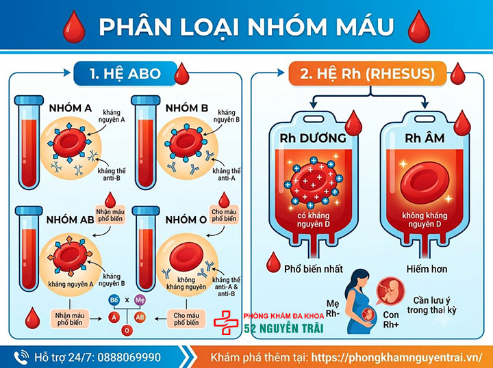 Xét nghiệm nhóm máu: Quy trình & cách đọc kết quả 1 Nhóm máu được phân loại như thế nào?