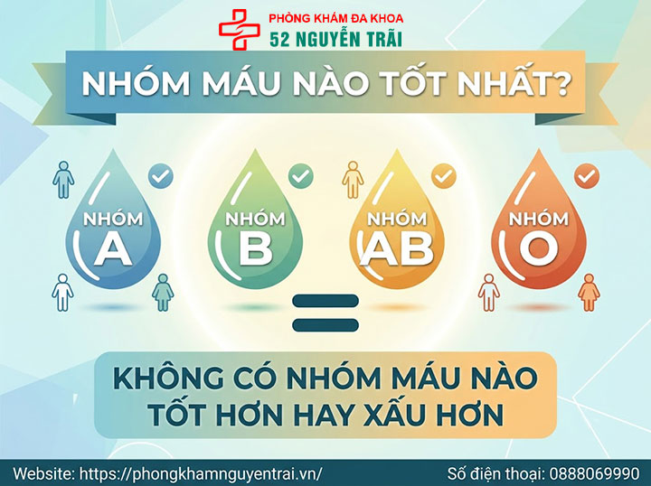 Tính cách theo nhóm máu A, B, O, AB: Đúng không? 6 Nhóm máu nào tốt nhất?