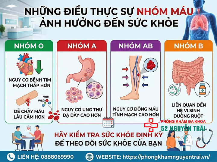 Nhóm máu và văn hóa Nhật: Vì sao họ quan tâm? 9 Những điều thực sự nhóm máu ảnh hưởng đến sức khỏe