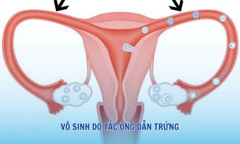 Tac ong dan trung