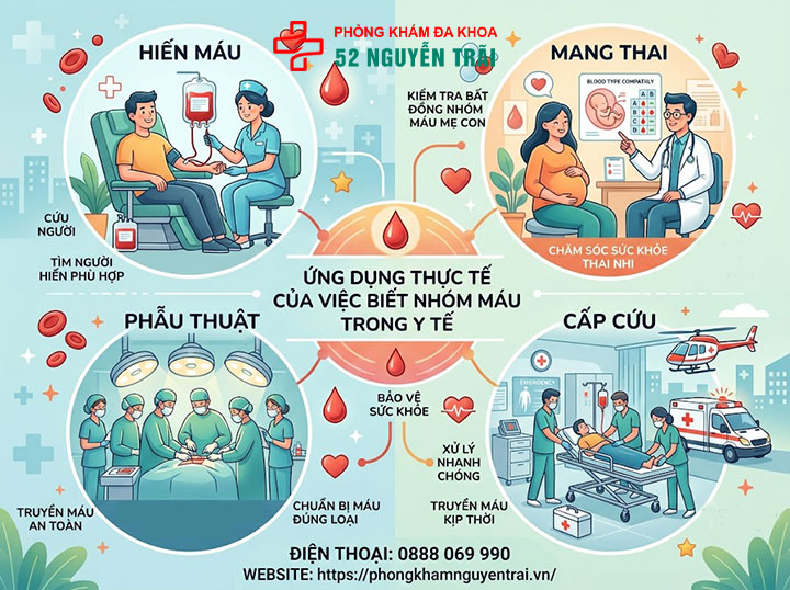 Sơ đồ cho nhận nhóm máu: Nhóm nào truyền được cho nhóm nào? 11 Ứng dụng thực tế — Biết nhóm máu để làm gì?
