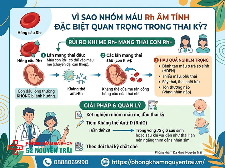 Các nhóm máu: Hệ A,B,O,AB phân loại và ý nghĩa 8 Vì sao Rh âm tính đặc biệt quan trọng trong thai kỳ?