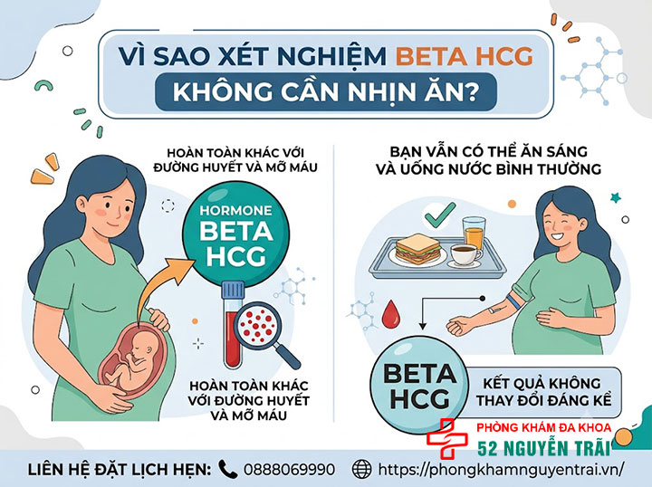 Xét nghiệm Beta HCG có cần nhịn ăn không? Chuẩn bị như thế nào? 1 Vì sao xét nghiệm Beta HCG không cần nhịn ăn?