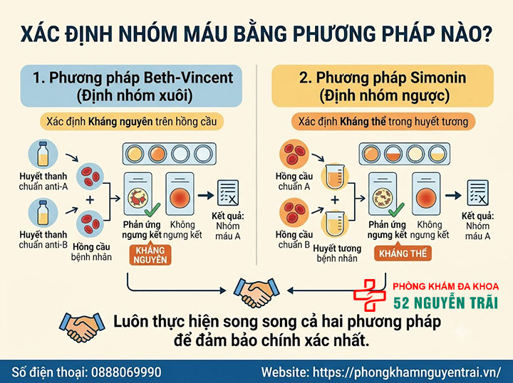Các nhóm máu: Hệ A,B,O,AB phân loại và ý nghĩa 9 Xác định nhóm máu bằng phương pháp nào?