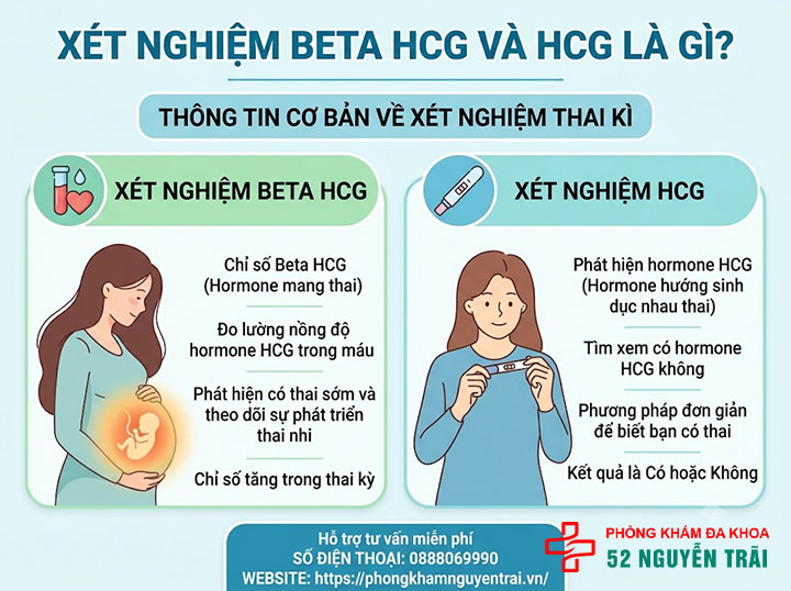Xét nghiệm Beta HCG là gì? Ý nghĩa và khi nào cần làm 1 Xét nghiệm Beta HCG là gì? Xét nghiệm HCG là gì?