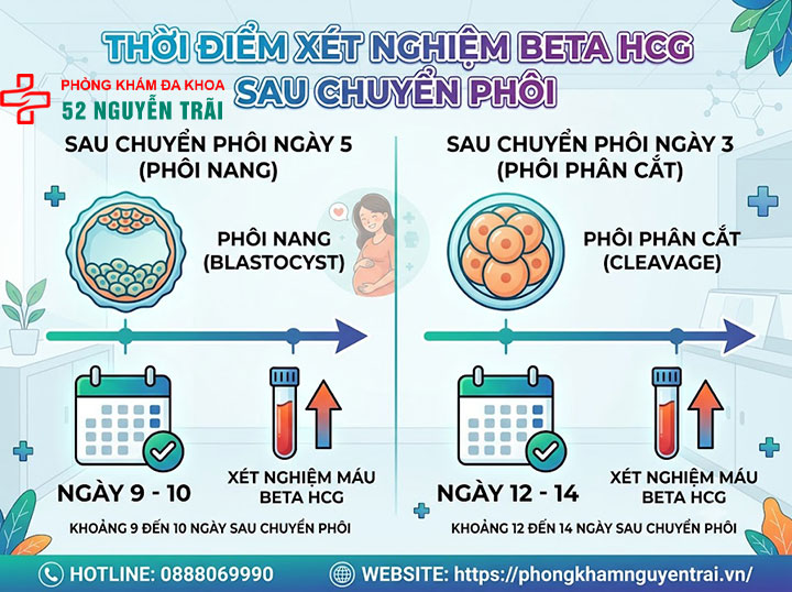 Sau quan hệ bao lâu xét nghiệm Beta HCG chính xác? 4 Xét nghiệm Beta HCG sau chuyển phôi bao lâu?