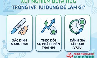 Xét nghiệm Beta HCG trong IVF, IUI: Bác sĩ giải thích