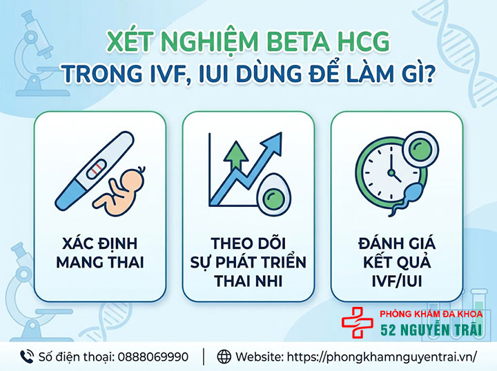 Xét nghiệm Beta HCG trong IVF, IUI: Bác sĩ giải thích 1 Xét nghiệm Beta HCG trong IVF, IUI dùng để làm gì?
