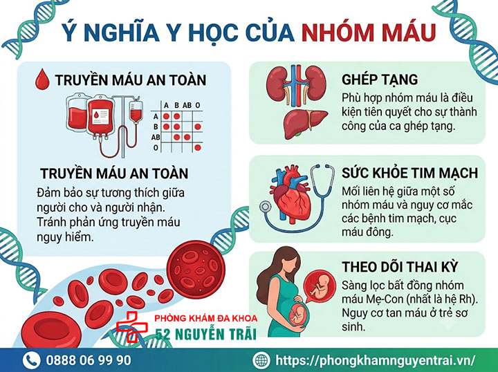 Các nhóm máu: Hệ A,B,O,AB phân loại và ý nghĩa 10 Ý nghĩa y học của nhóm máu trong thực tế