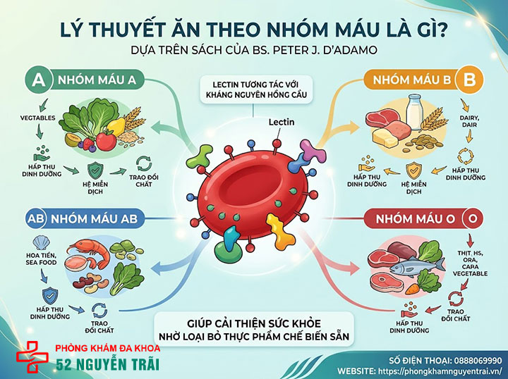 Ăn theo nhóm máu: Thực đơn A, B, O, AB chi tiết 1 ăn theo nhóm máu là gì?