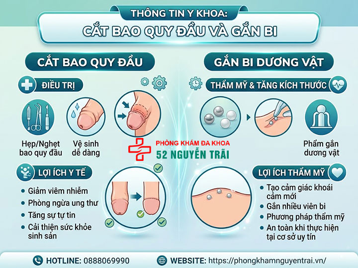 Cắt Dây Hãm Bao Quy Đầu: Khi Nào Cần Và Có Đau Không? 8 cắt bao quy đầu và gắn bi