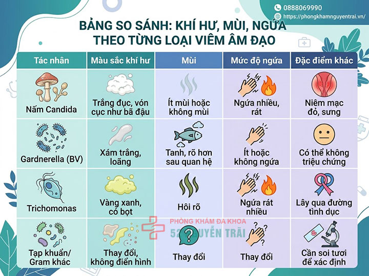 Viêm âm đạo do nấm Candida, Gardnerella, Trichomonas: Phân biệt và điều trị 5 Bảng so sánh: khí hư, mùi, ngứa theo từng loại viêm âm đạo