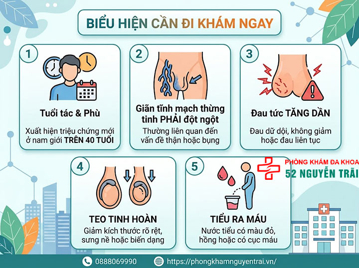 Dấu Hiệu Giãn Tĩnh Mạch Thừng Tinh Cần Nhận Biết Sớm 4 Biểu hiện cần đi khám ngay – dấu hiệu cảnh báo bất thường
