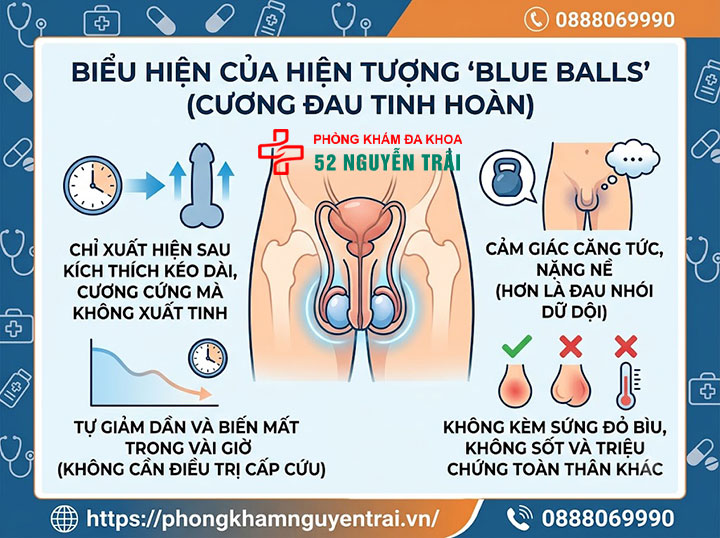 Đau Tinh Hoàn Sau Khi Cương: Nguyên Nhân, Cách Xử Lý 2 Blue balls (cương đau tinh hoàn) là gì?